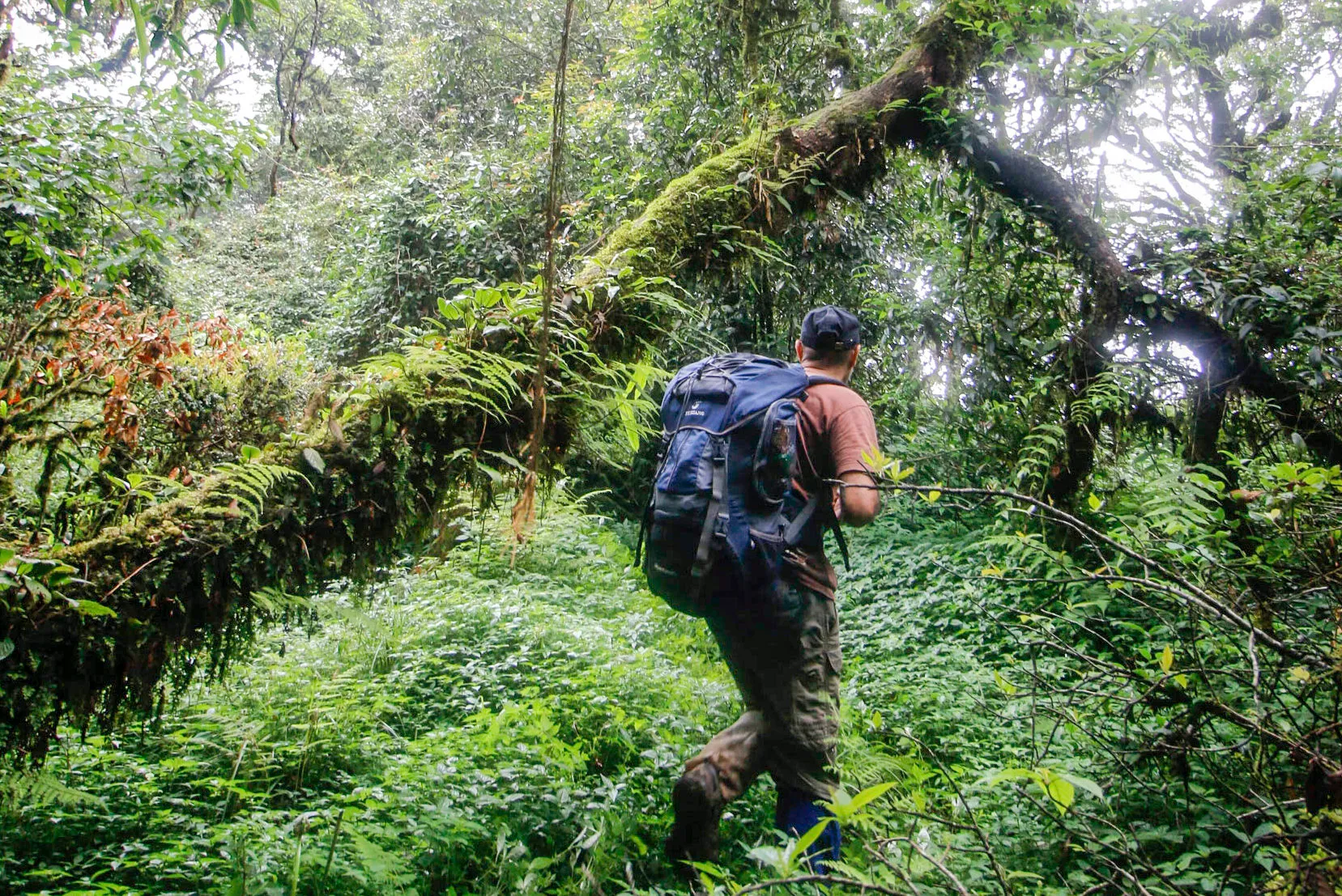 Ultimate Guide to Laos Trekking Tours: Top Trails, Tips, and Adventure Awaits